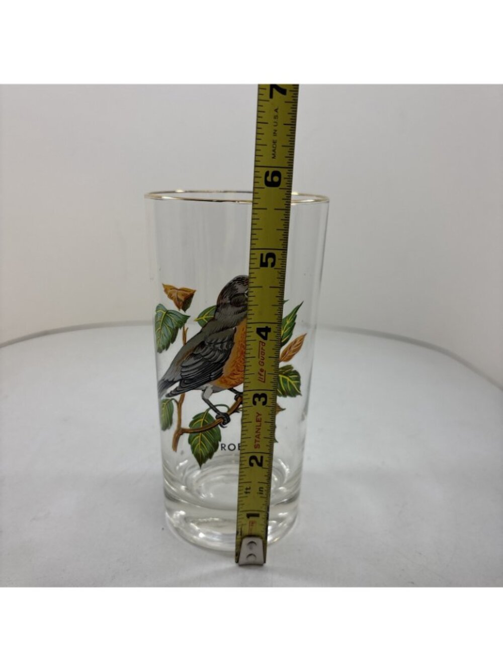 “Robin” Vintage 12oz Flat Tumbler By West Virginia Glass Specialty - Picture 4 of 5